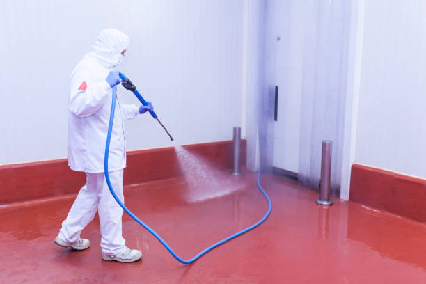 Best Sidewalk and Walkway Cleaning  in Oreland, PA